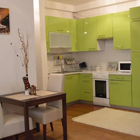 Apartment Downtown With Big Terrace *